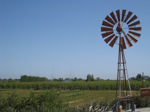 Western Colorado Farms